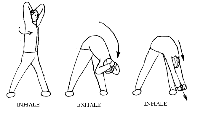 Exercises for Back Pain with Diagrams
